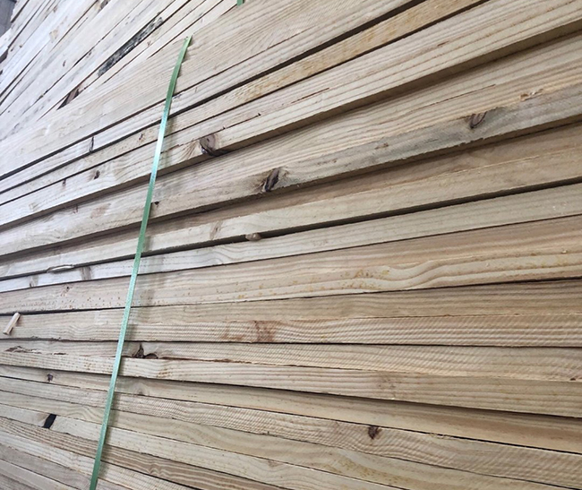 仙居巴西松